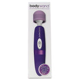 Rechargeable Massager in Lavender