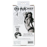 Sex & Mischief Intro to S&M Kit