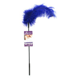 Ostrich Feather Body Tickler in Purple