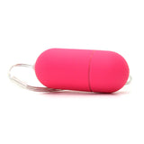 Shane's World Hookup Remote Control Egg Vibe in Pink