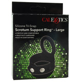 Large Tri-Snap Scrotum Support Ring in Black