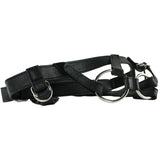 The Duchess Her Royal Harness