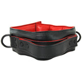 Kink Leather Handler's Collar
