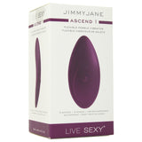 Ascend 1 Flexible Pebble Vibrator in Purple