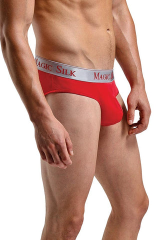 Red Silk Lo Rise Bikini Brief in L