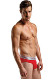 Red Silk Lo Rise Bikini Brief in XL
