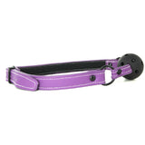Lust Bondage Ball Gag in Purple