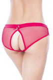 Backless Red Fishnet Hipster Panty in 3X/4X