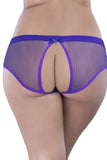 Backless Purple Fishnet Hipster Panty in 3X/4X