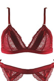 Red Satin Paneled Bra, Panty and Garter Belt in XL