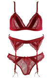 Red Satin Paneled Bra, Panty and Garter Belt in XL