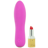 Rapture 10X Rechargeable Vibe in Fuchsia