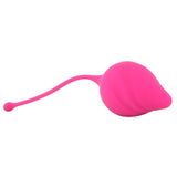 Feranti Hold Me Tight Kegal Toning Kit in Pink