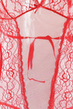 Red Floral Lace Mesh Teddy in M/L