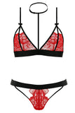 Hot Harness and Red Lace Bra and G-String in M/L