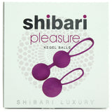 Pleasure Kegel Balls in Purple