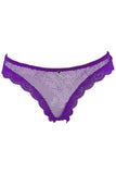 Purple Haze Fishnet and Lace Panty in S