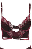 Merlot Velvet Long Line Bra and Panty in L