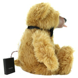 Teddy Love Bear Vibrator