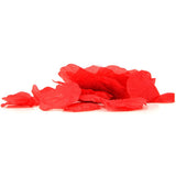 Fundies Red Unzip It Thong in OS