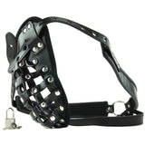 Netted Male Chastity Jock